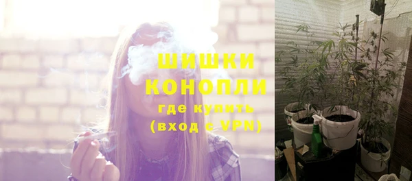 a pvp Бородино