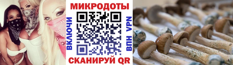 магазин продажи   Белый  Псилоцибиновые грибы ЛСД 